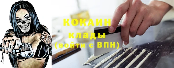 индика Заволжск
