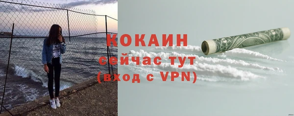индика Заволжск