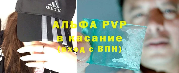 индика Заволжск