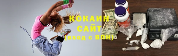 индика Заволжск