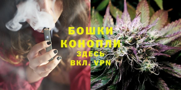 индика Заволжск
