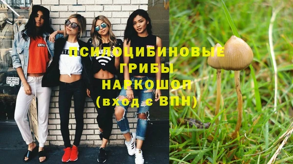 индика Заволжск