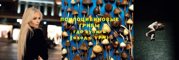 МДПВ Заволжье